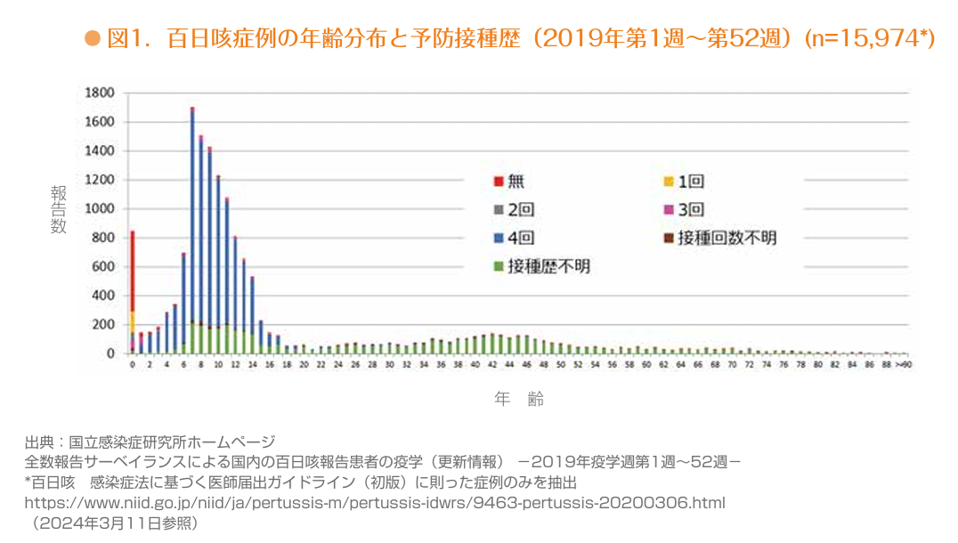 百日咳2019